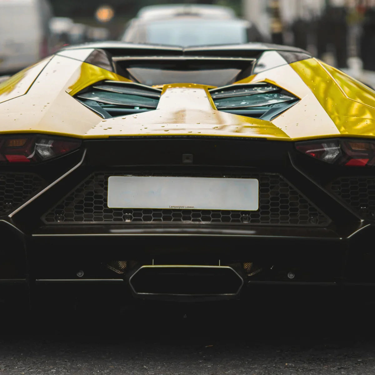 Italian Bull